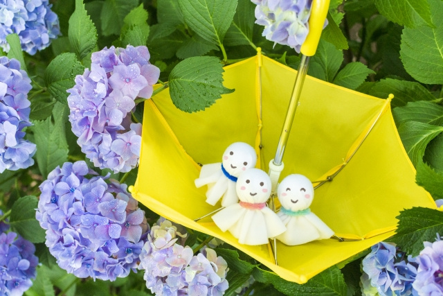 お家探しは梅雨前の時期が実は狙い目!?の画像