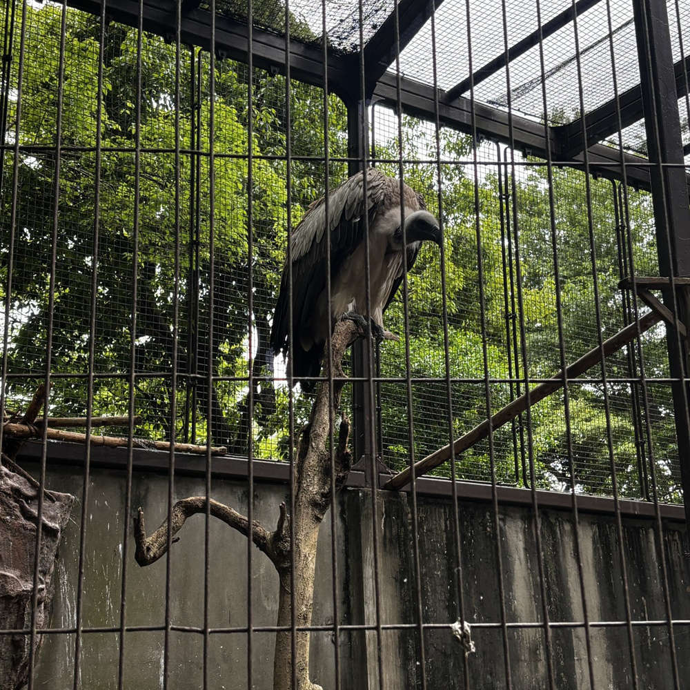 日本最古の動物園！の画像