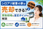シロアリ被害の家は売却できる？買取相場と査定ポイントを解説の画像