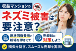 収益マンションのネズミ被害は要注意？原状回復費用と相場を押さえて売却前に対策しようの画像