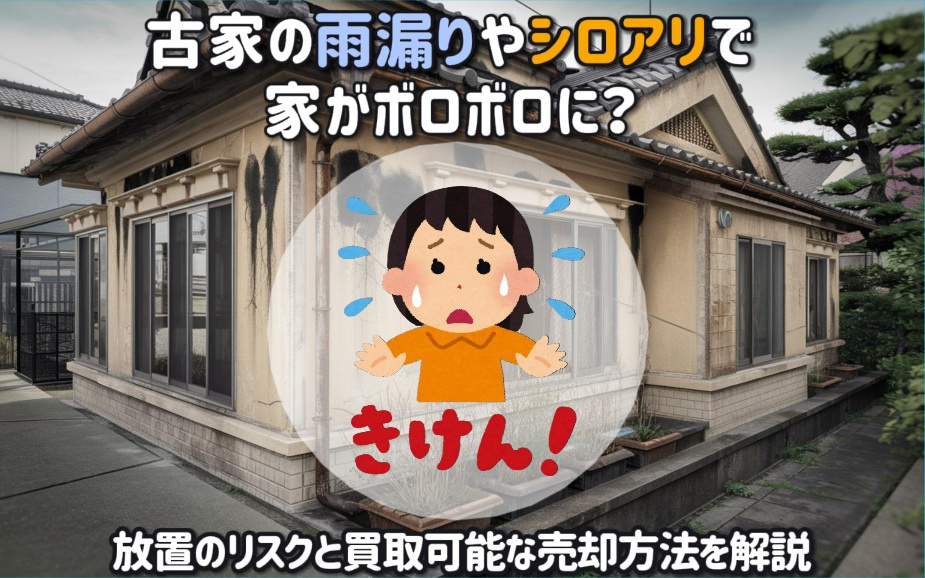 古家の雨漏りやシロアリで家がボロボロに？放置のリスクと買取可能な売却方法を解説の画像