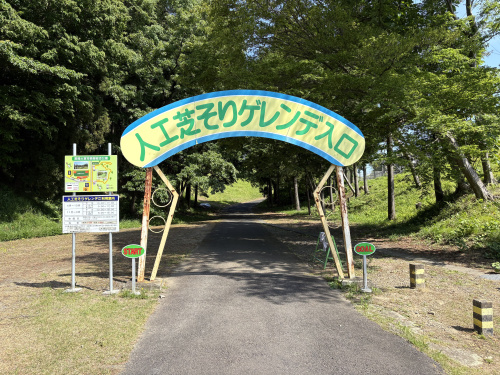 芝滑り～～～～の画像