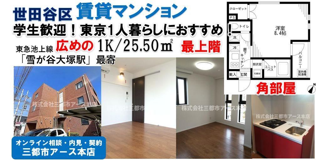【世田谷区東玉川】広めの1Kでゆとりの1人暮らしを叶える賃貸マンションの画像