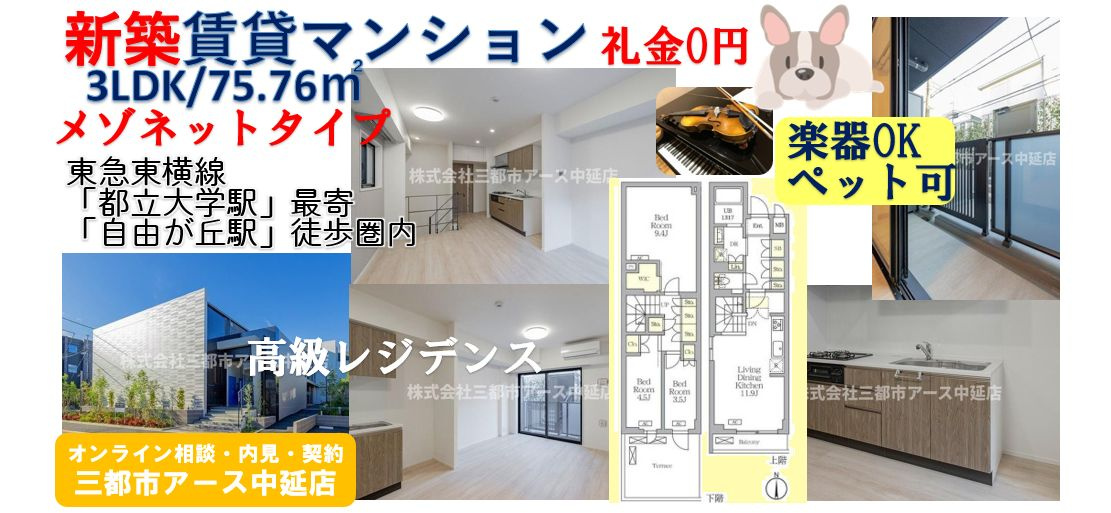 【目黒区中根】新築賃貸マンション3LDK・高級物件｜ペット＆楽器可の画像