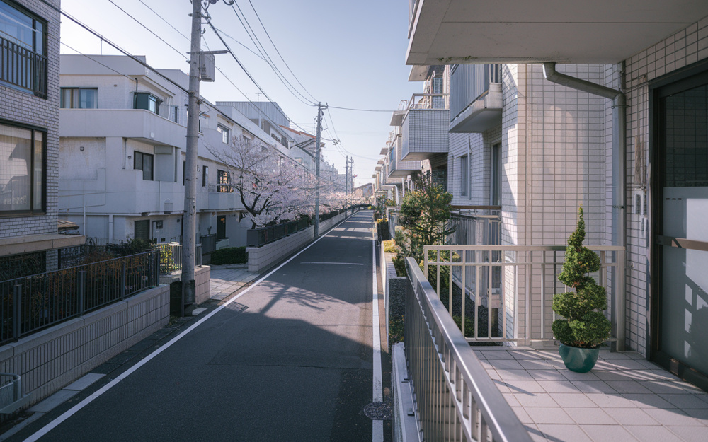 査定から相続まで不動産売却の税金は？買取と媒介の選び方を解説の画像