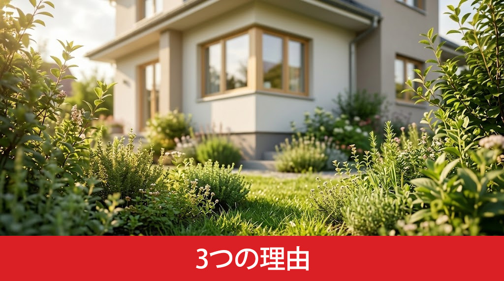 一戸建てに虫が多いと言われる3つの理由