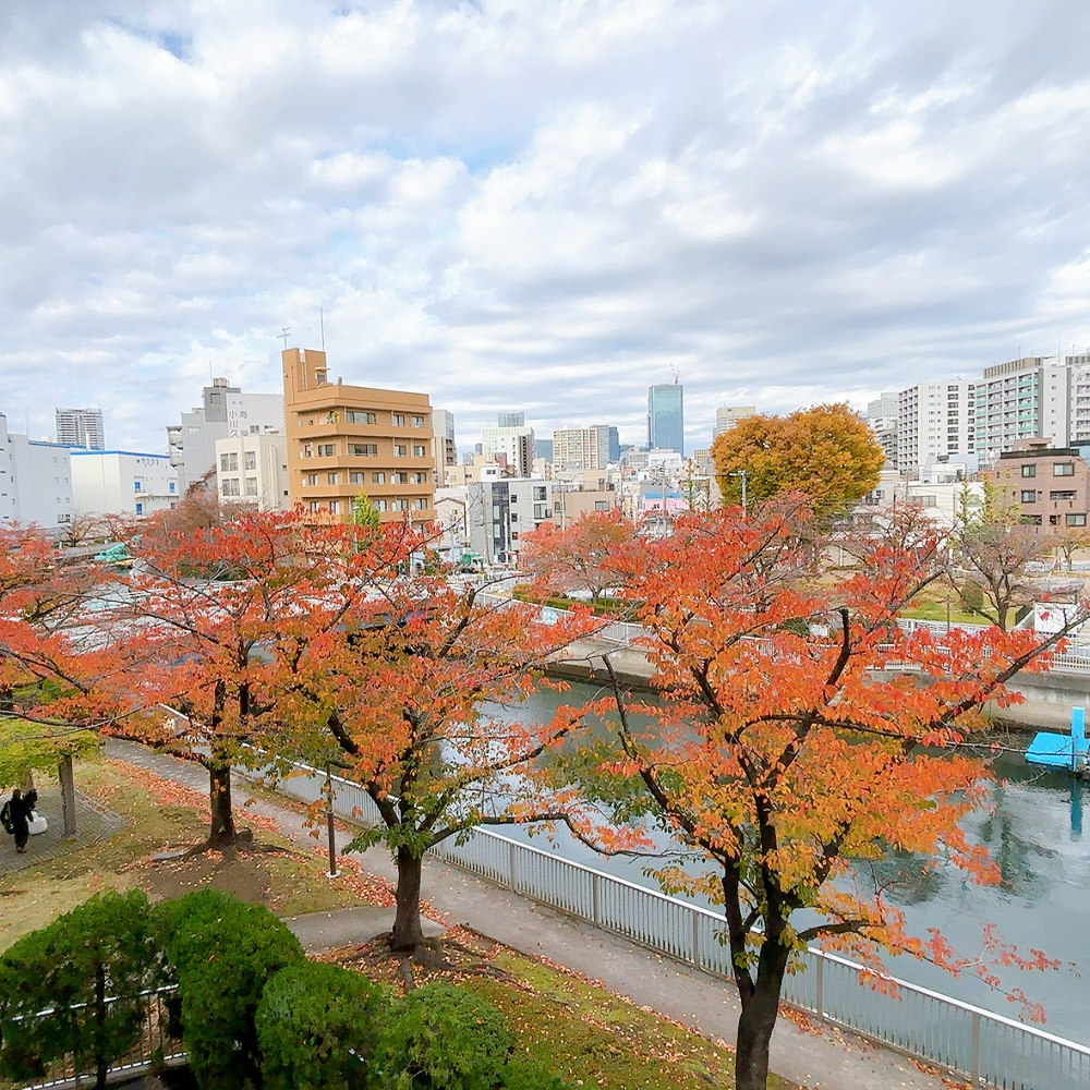秋といえば♪の画像