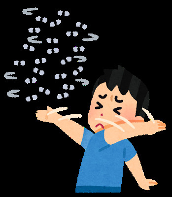 事務所内を飛来するものの画像