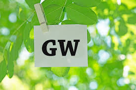 GWはどのように過ごされましたか？の画像