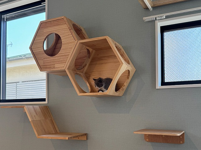 新築✨猫共生型タウンハウス「CS GARDEN 吉祥寺」✨の画像