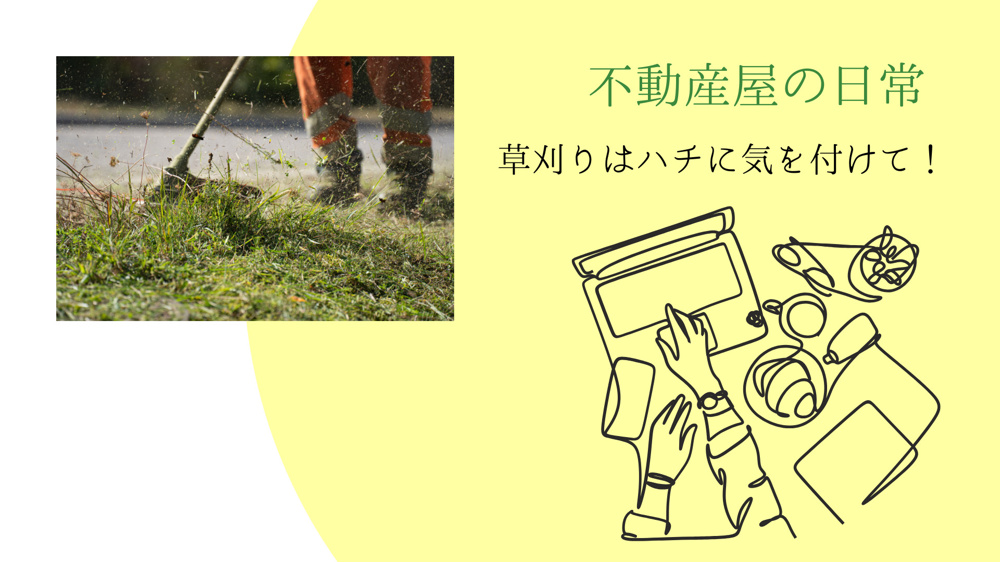 【不動産屋の日常】⚠️【要注意】草刈り中のハチにご用心！の画像