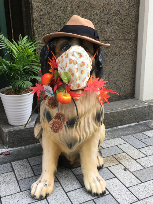 コロナ禍でもの画像