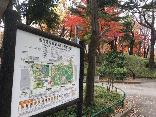 新宿中央公園の画像