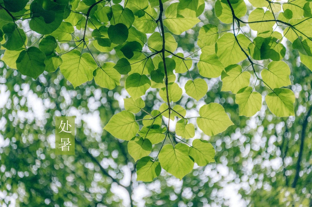 時間が経つのが早すぎます。の画像