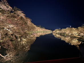 弘前のさくらの画像
