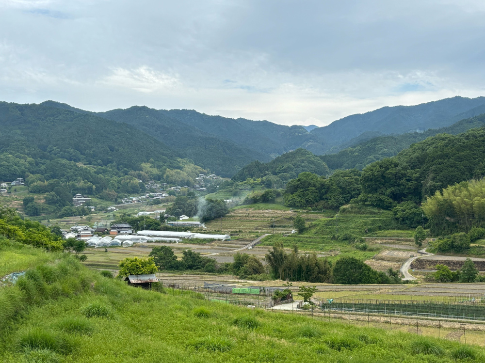 明日香村♪の画像