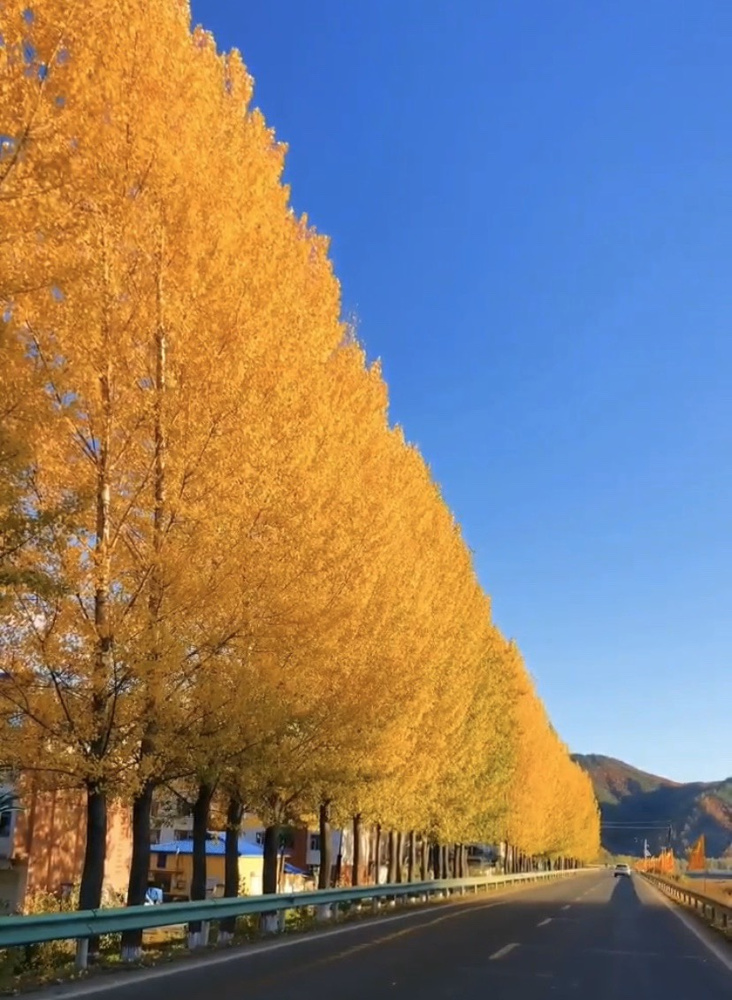 笑いジワの画像