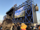 フェス！！！の画像