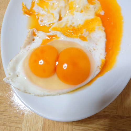 いいことがある予感の画像