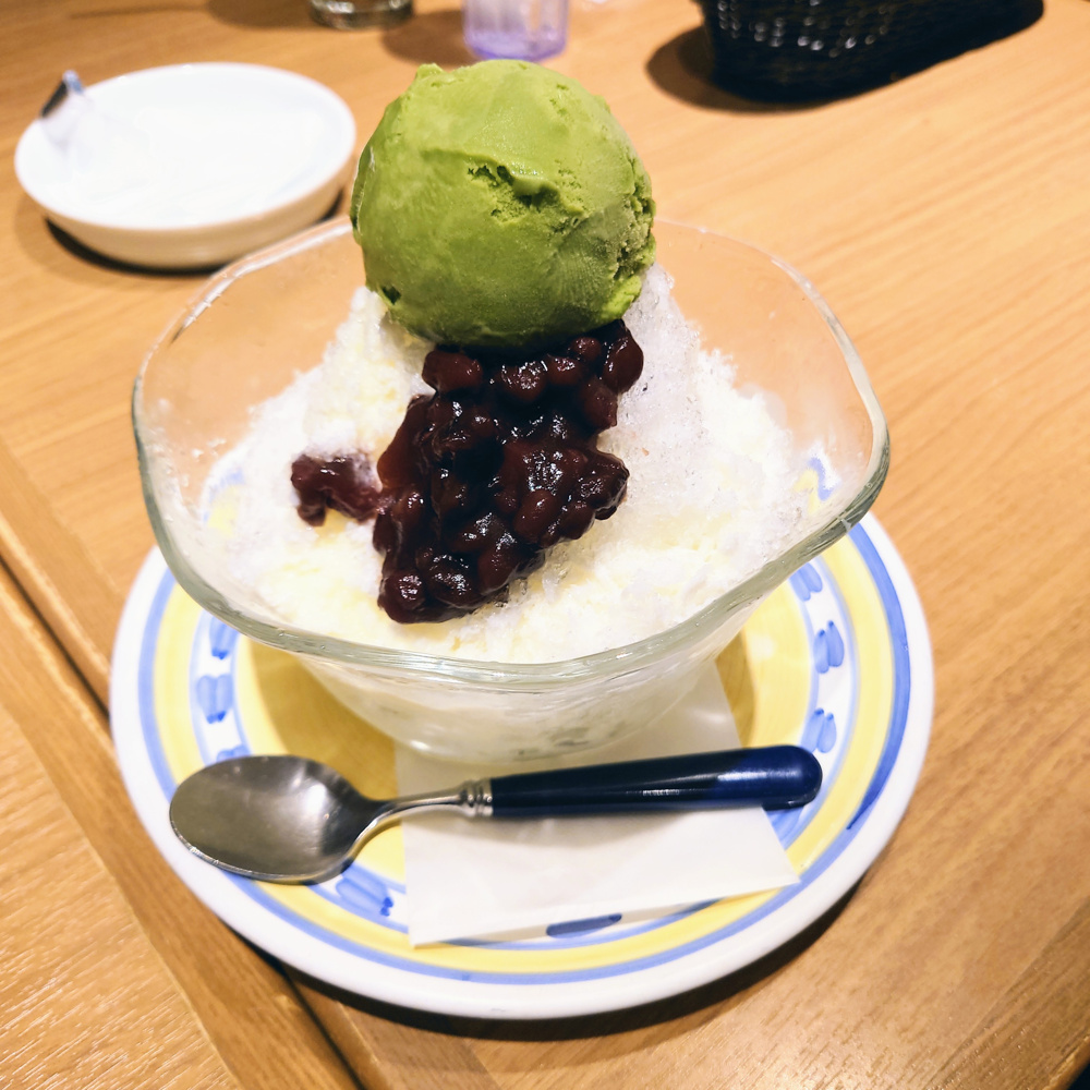 〇〇始めましたの画像