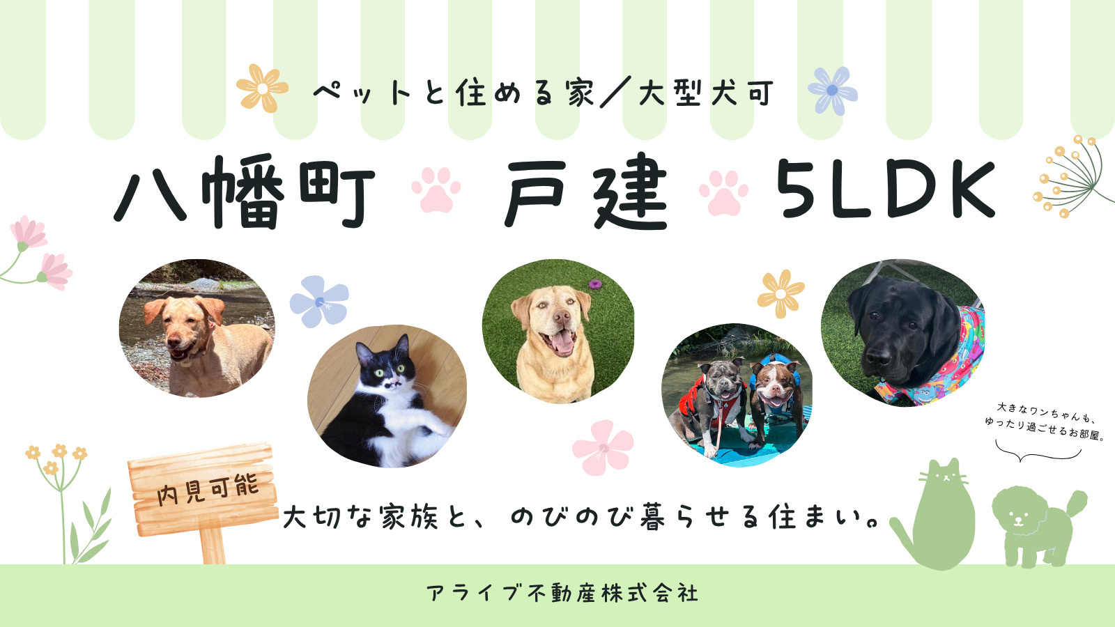 【高崎市八幡町】大型犬と暮らせる5LDKのおうち、賃貸を始めました✨の画像