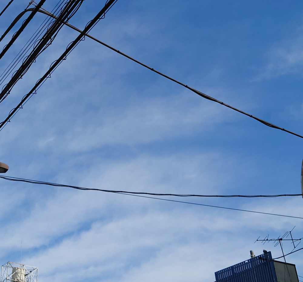 秋っぽくなってきましたの画像
