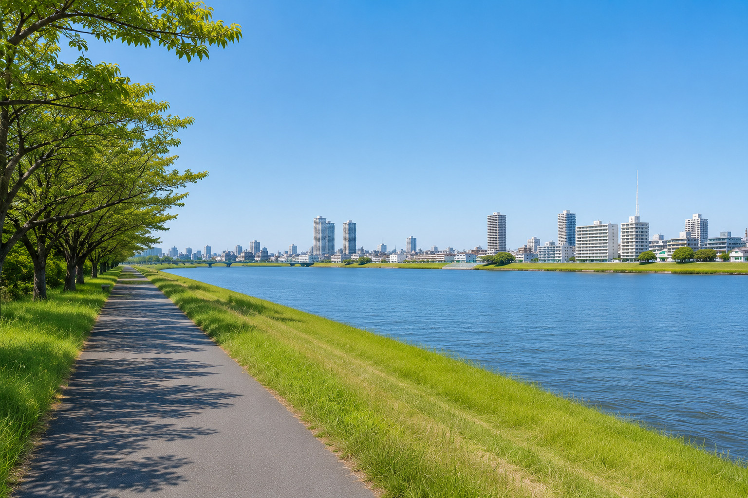 市川市で自然を楽しむなら？江戸川・里見公園・真間川周辺の散策スポットの画像
