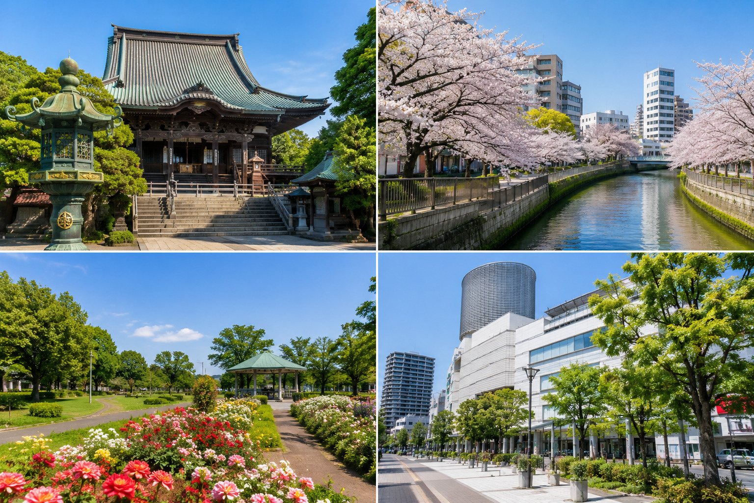 市川市の魅力を一日で楽しむモデルコース|歴史・自然・散策ガイドの画像