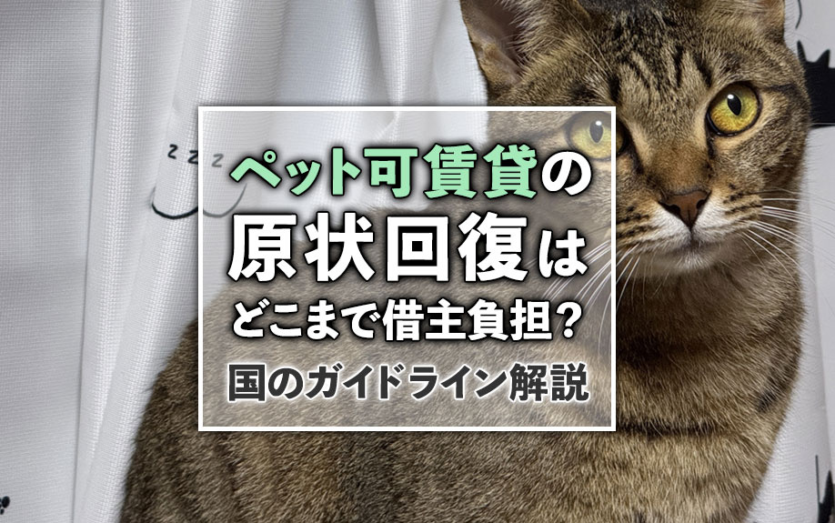 ペット可賃貸の原状回復はどこまで借主負担？国のガイドライン解説の画像