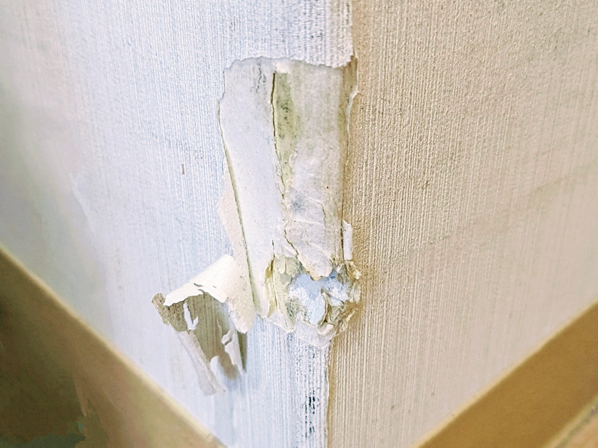 ペット可賃貸の原状回復とは？国のガイドラインで確認