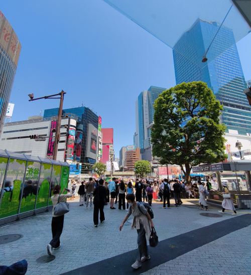 東京の画像