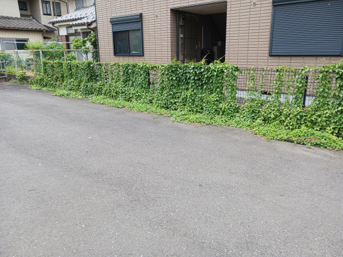 真夏の草むしりに、もう悩まないでください。私たちが現場の「泥臭い仕事」を買って出る理由の画像