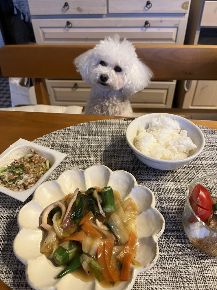 犬部の画像