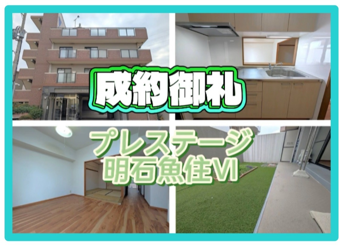 成約情報の画像