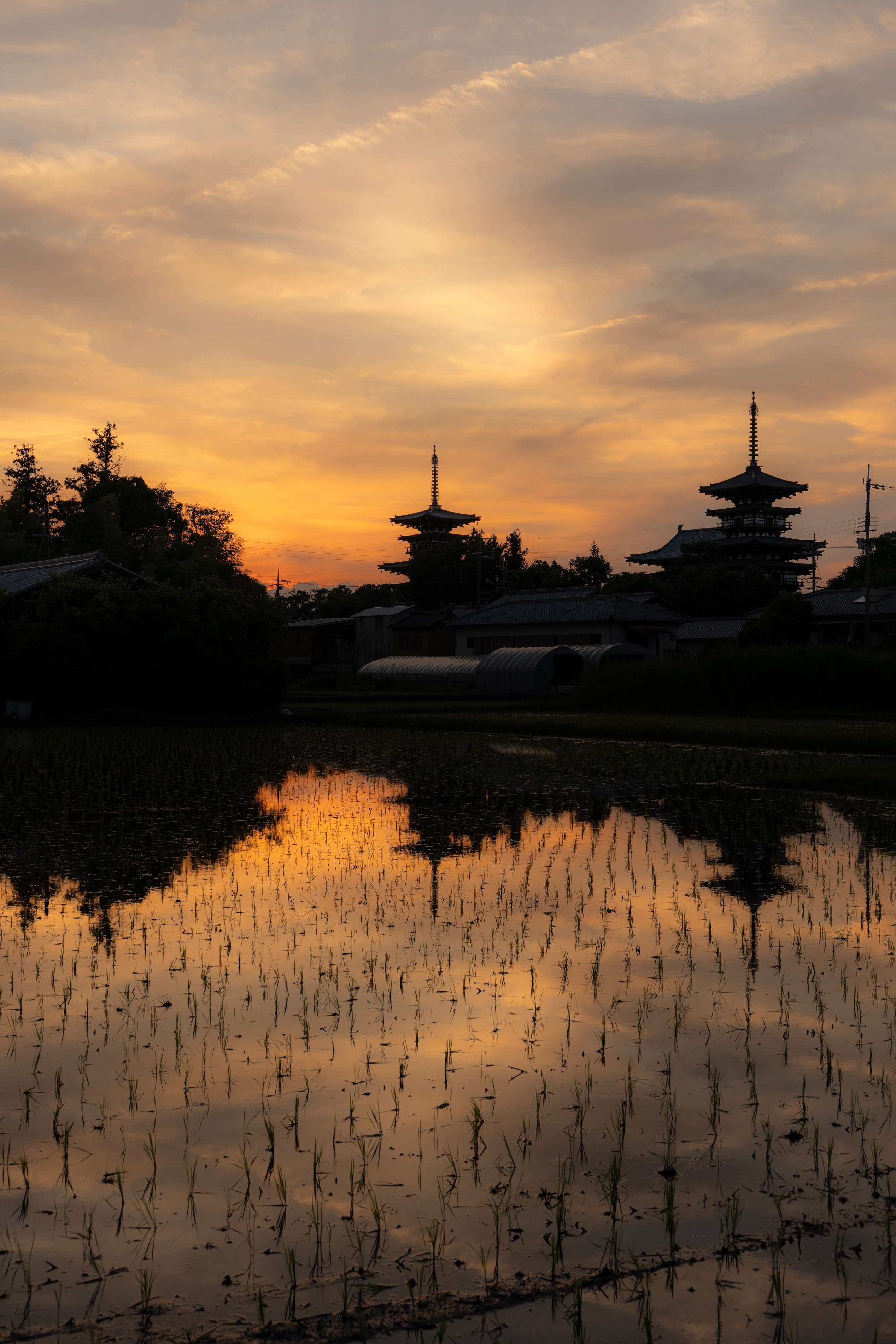 田植えの季節だけの絶景！奈良で見たい水鏡リフレクションスポット4選