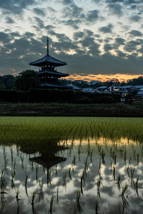 田植えの季節だけの絶景！奈良で見たい水鏡リフレクションスポット4選