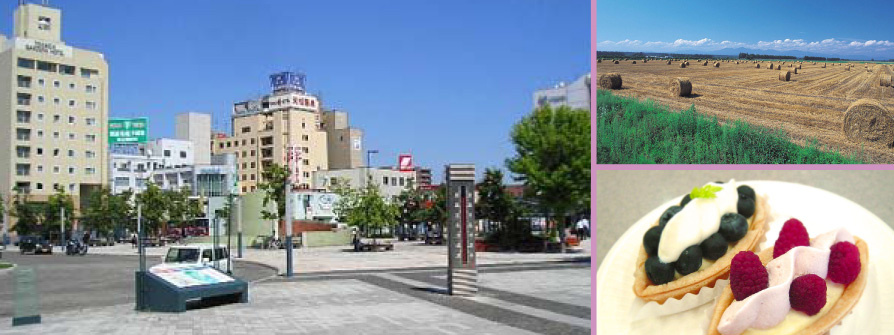 帯広市の風景