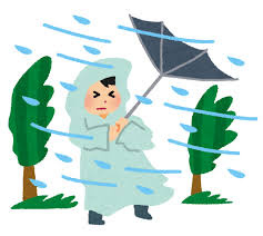 住宅の台風対策はしていますか？の画像