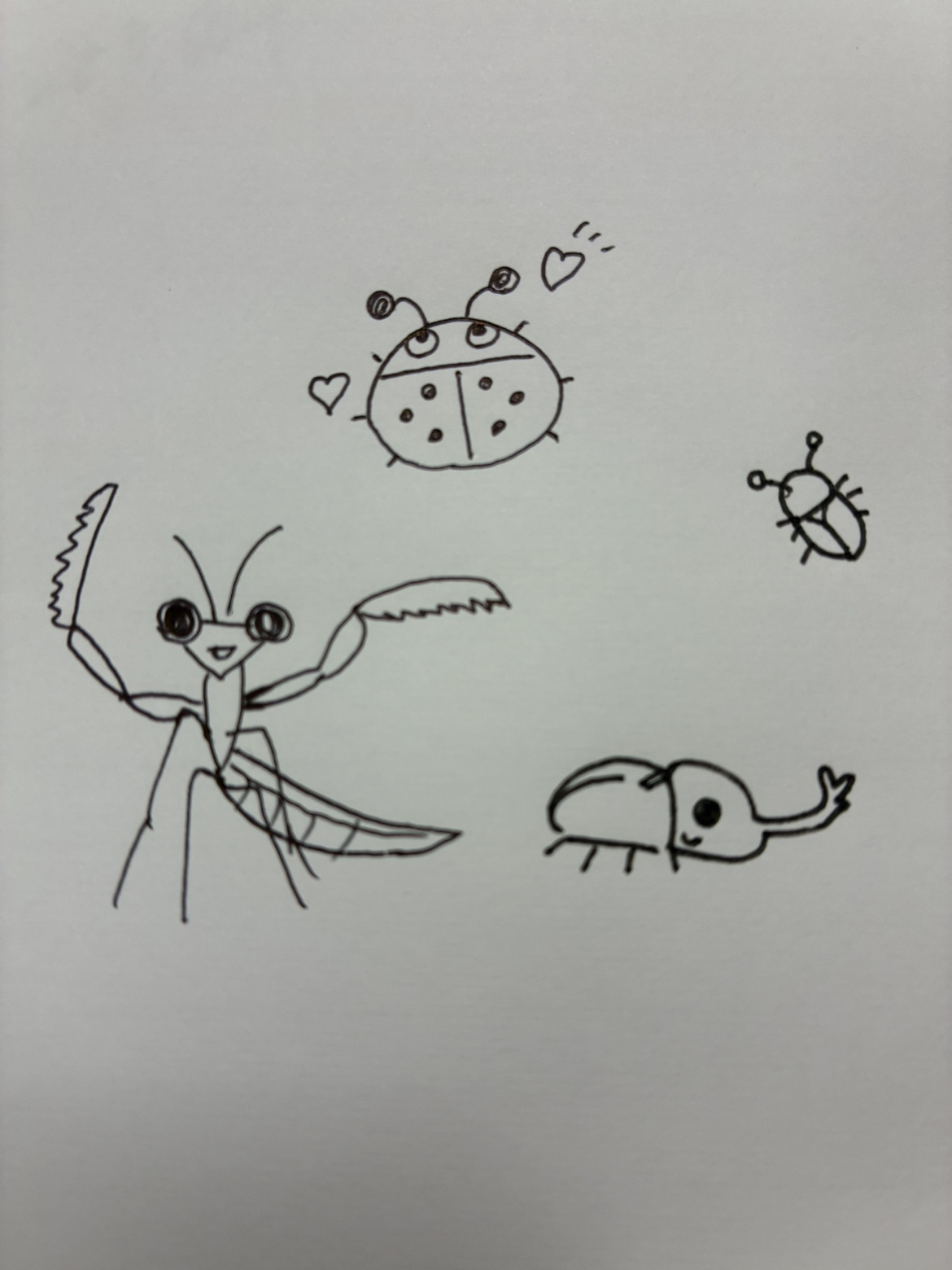 6月4日は「虫の日」！快適なお部屋づくりのポイントの画像