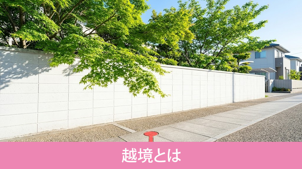 越境とは