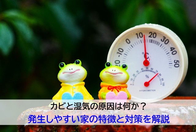 カビと湿気の原因は何か？発生しやすい家の特徴と対策を解説の画像