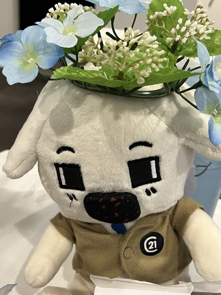 時期によって変化するものは？の画像
