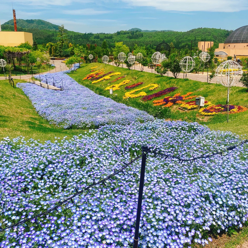 晴れの日のお出かけ♪の画像