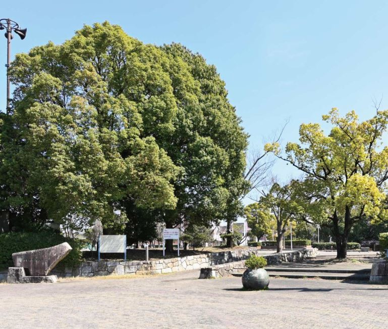 元住吉で子育てに人気のオススメ公園はどこ？休日の外遊びに便利なスポットを紹介の画像