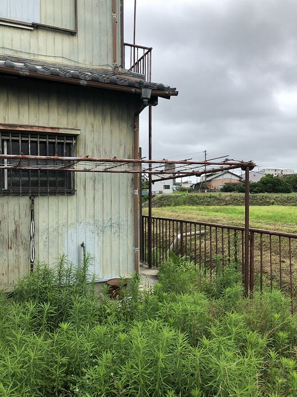 日進市浅田町・庭 草木の繁茂