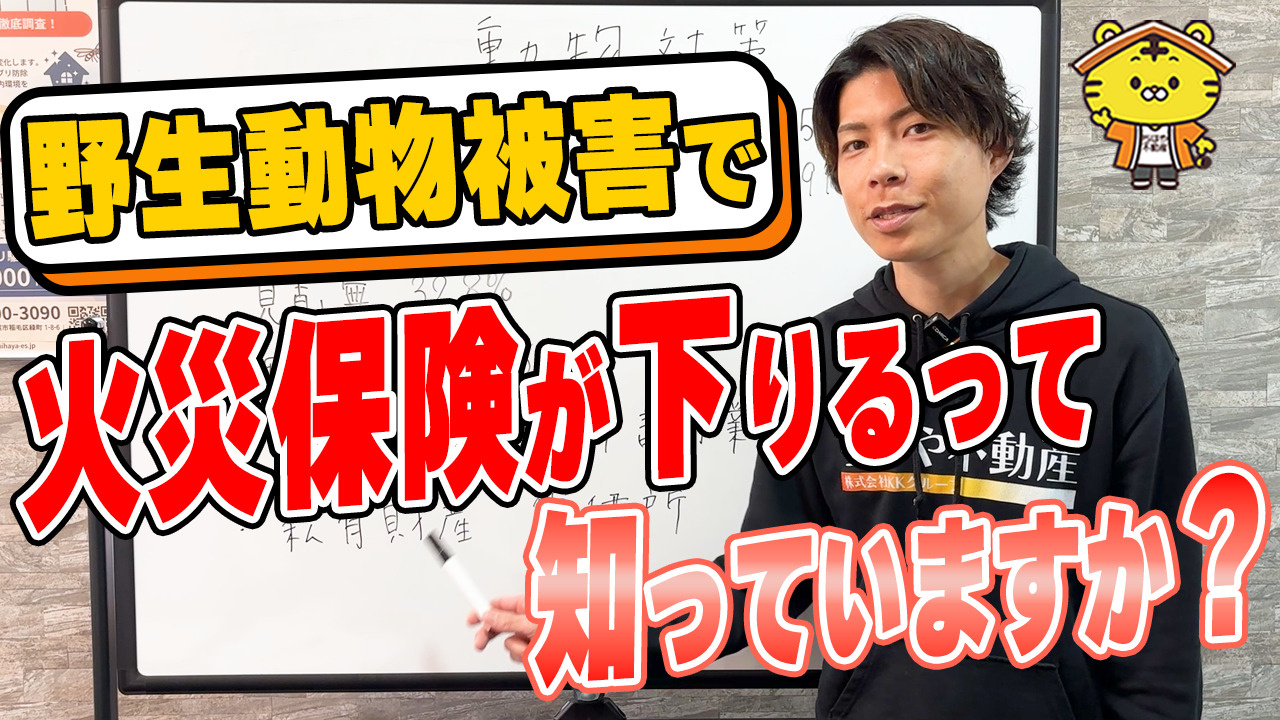 熊の被害で火災保険が使える？賃貸経営で知っておきたい動物トラブル対策の画像