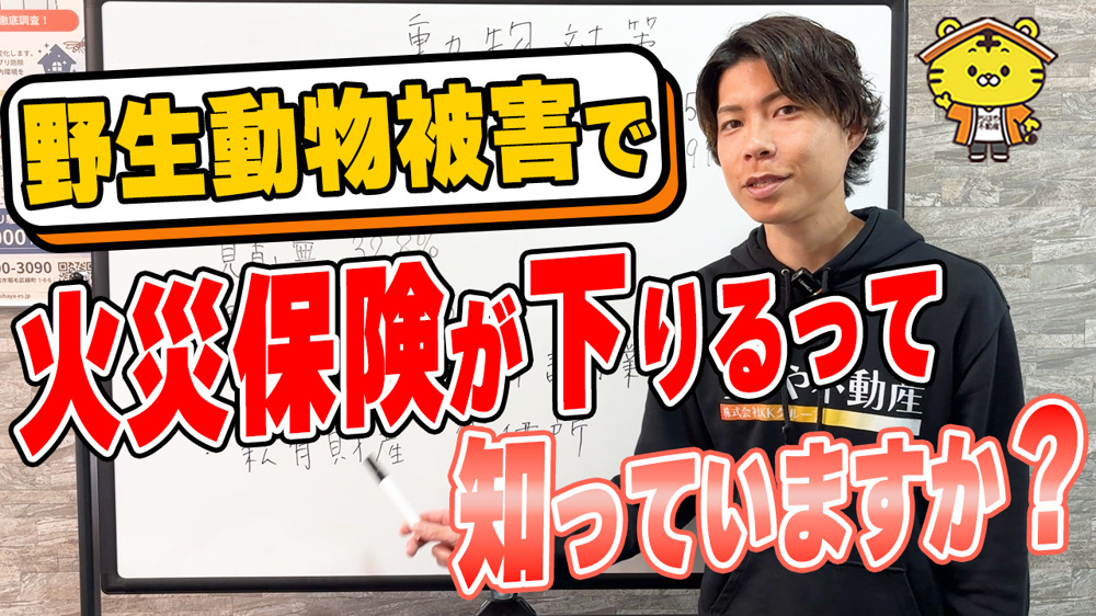 熊の被害で火災保険が使える？賃貸経営で知っておきたい動物トラブル対策の画像