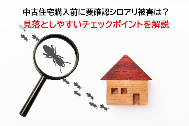 中古住宅購入前に要確認シロアリ被害は？見落としやすいチェックポイントを解説の画像