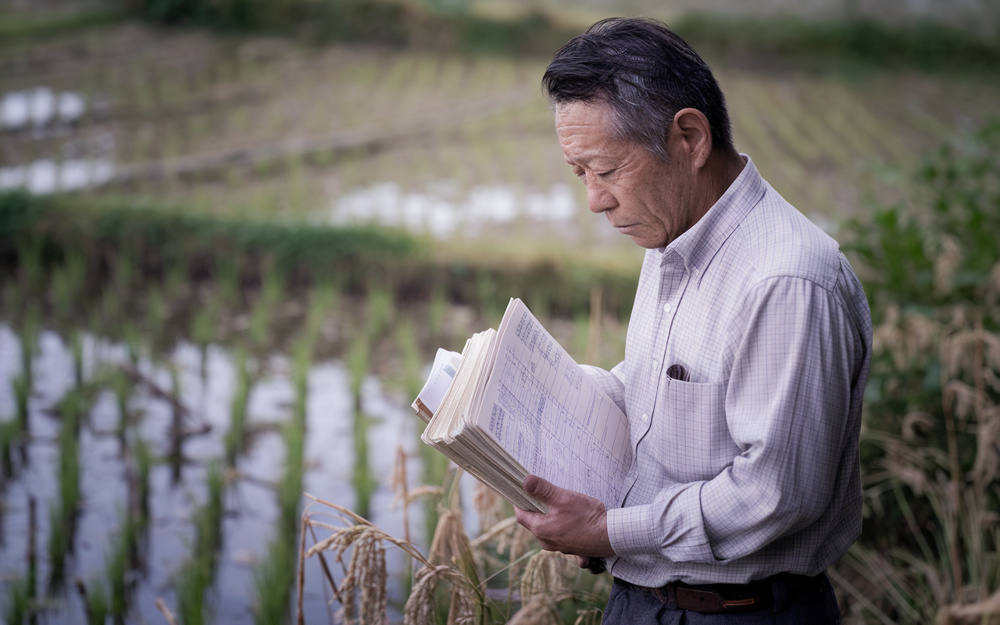 田んぼ相続で不要な農地に悩む方へ！売却の流れと相談先の選び方を解説の画像