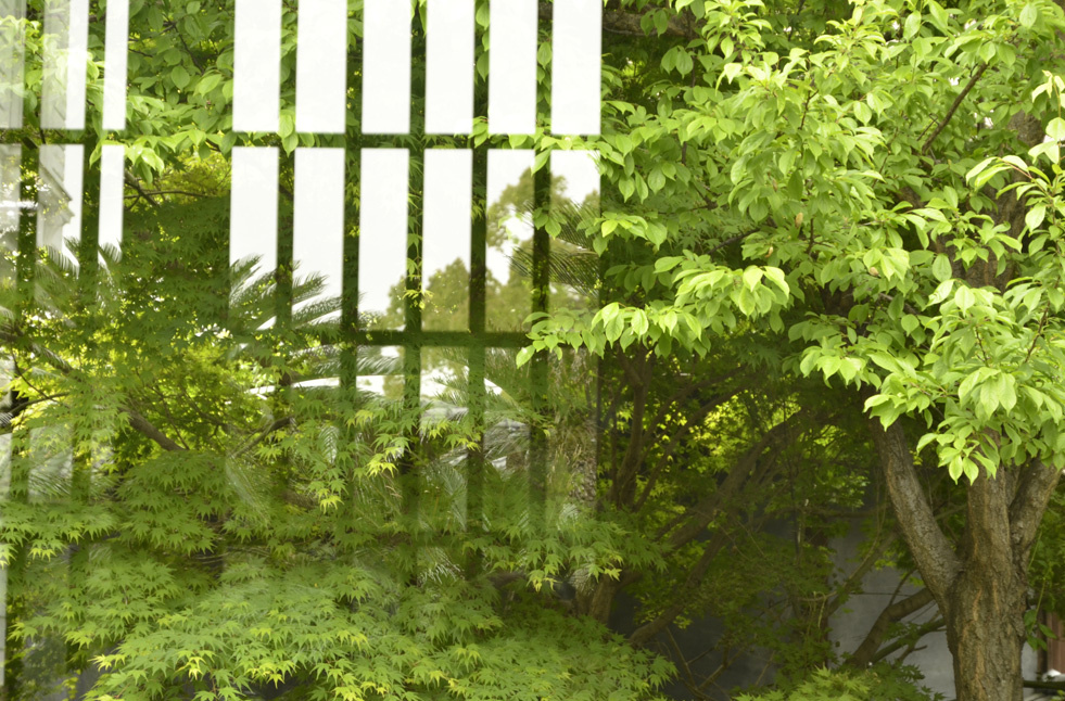 土地探しと家の関係性　｜　ひびよし不動産　家づくりへの想いの画像